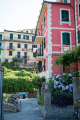 Vertical View of Alley in the Town of Riomaggiore