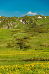 Obraz premium Green slope of the high big mountain. Alpine meadows in the Caucasus Mountains. Flowers of all colors and grasses. Beautiful blue sky and clouds. Impressions from mountain tourism.