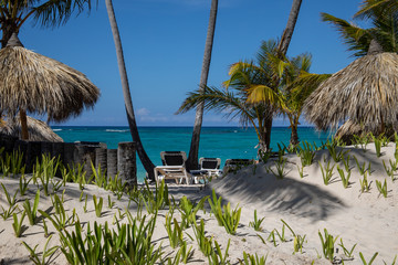 Strand mit Liegen am Meer eingesäumt von Palmen