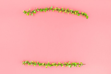 Color paper background with flowering barberry