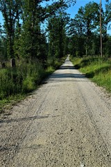 Waldweg © Martin