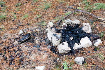 campfire strewn with stones in a pine forest