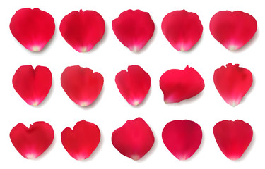 Collection of realistic vector red rose petals with shadows isolated on white background.