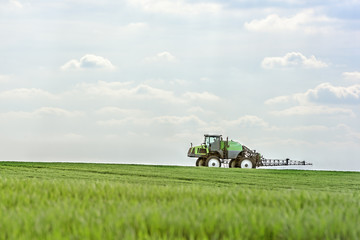 Fototapeta na wymiar The tractor fertilizes wheat shoots.