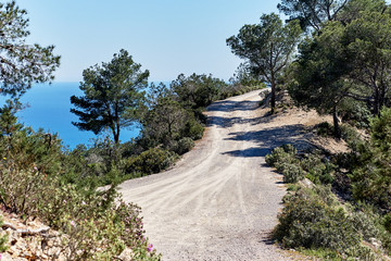 Path through the forest in the mountains of Ibiza. Spain
