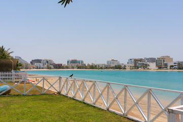 Fototapeta premium Bird look sea of Bahrain