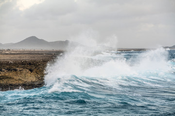 Fototapeta premium Washington Slagbaai National Park