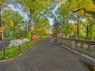 Central Park, New York City spring