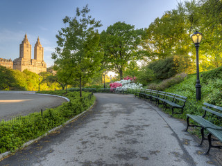 Central Park, New York City spring