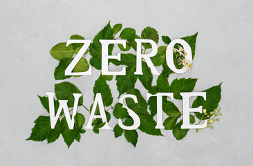 zero waste paper text witj green leaves on gray background