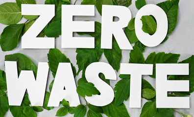 zero waste paper text witj green leaves on gray background