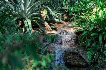 Beautiful water stream waterfall garden