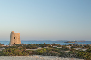 Fototapeta na wymiar Tower in Ses Portes, Ses Salines, Ibiza, Spain