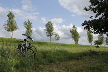 two bicycles are parked in a green verge next to a dike with trees in the dutch countryside in the and blue cloudy sky