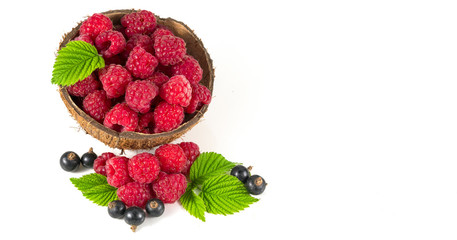 .currant and raspberries on white background