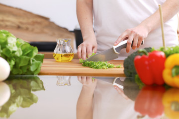 Closeup of human hands cooking in kitchen. Mother and daughter or two female friends cutting vegetables for fresh salad. Healthy meal, vegetarian food and lifestyle concepts
