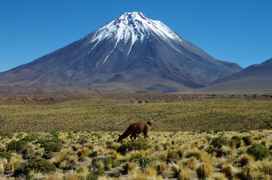 C&ocirc;ne volcanique enneig&eacute; sur l'altiplano