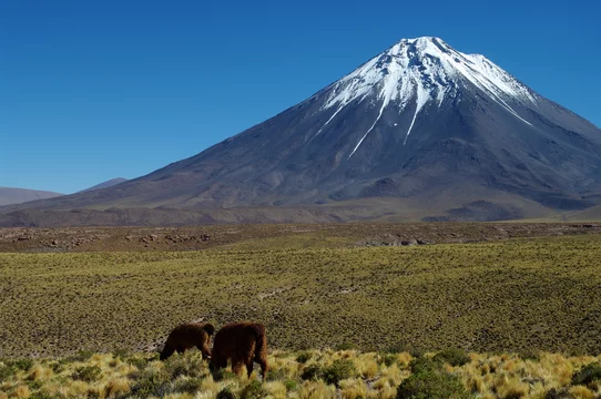 Mont Kenya - Adobe Stock