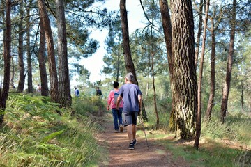 Obraz premium Groupe de randonneurs sur le circuit de la vallée du Trieux en Bretagne