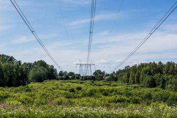 Power line towers and wires. Sunny day.