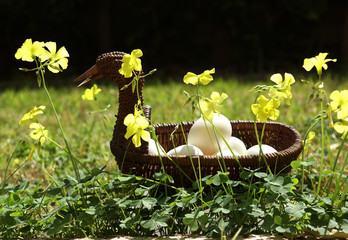 Basket with eggs