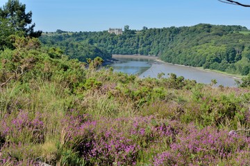 Obraz premium Magnifique paysage de la vallée du Trieux en Bretagne