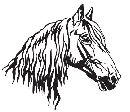 Decorative portrait of Orlov Trotter horse vector illustration