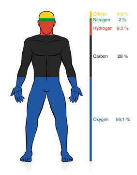 Chemical composition of the human body. Oxygen, carbon, hydrogen, and nitrogen, the basic organic chemical elements plus percent of mass information that compose a normal weight man. Abstract vector.