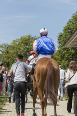 Jocky auf dem Pferd in Iffezheim auf der Rennbahn