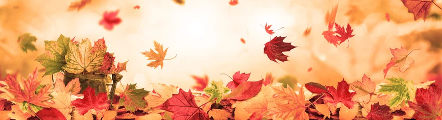 Fotobehang autumn background © drubig-photo