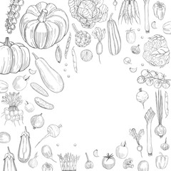 Vector background with  hand drawn vegetables