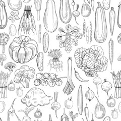 Hand drawn vegetables on white background.  Vector seamless pattern