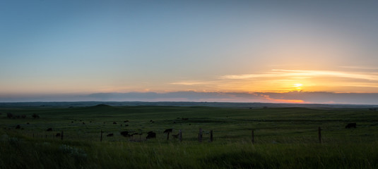 Pasture Landscape Sunrise
