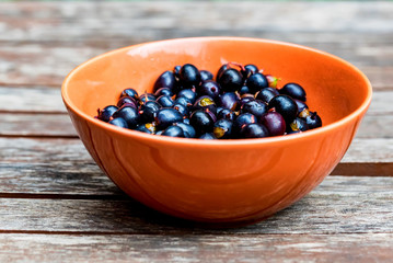 Ripe blackcurrant in glass bowl close