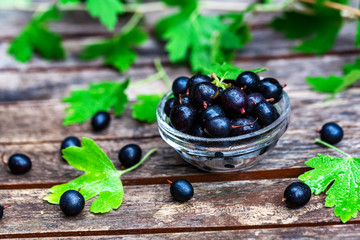 Ripe blackcurrant in glass bowl close