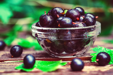 Ripe blackcurrant in glass bowl close