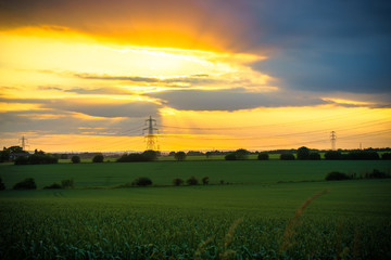Hight-voltage electric towers at sunset