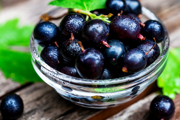 Ripe blackcurrant in glass bowl close