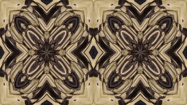 Rich kaleidoscope pattern going in seamless loop originally based on crocodile skin. Kaleidoscopic transformations.