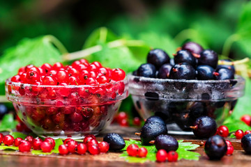 Ripe redcurrant and blackcurrant in glass bowls