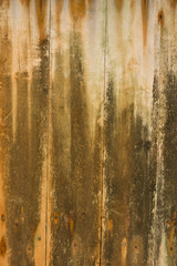 wood texture. background old panels