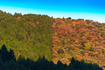 View of the mountains in the Hakone national park, Hakone, Japan. Copy space for text.