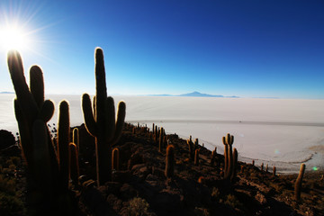 Wüste Bolivien Uyuni Salzlagune Salzsee Tourismus Reisen Work and Travel Agentur 