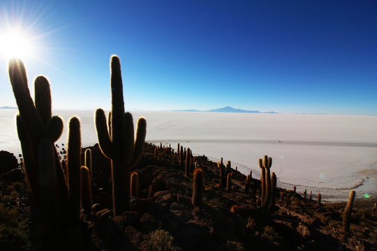 Wüste Bolivien Uyuni Salzlagune Salzsee Tourismus Reisen Work and Travel Agentur 