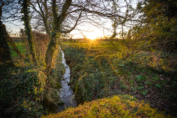 Countryside stream at sunset. England
