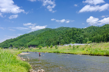 鮎友釣り風景