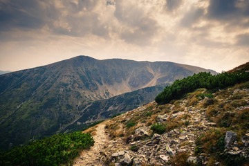 Fototapeta na wymiar Touristic path leading to the Mija Peak in the Carpathian Mountains.
