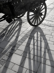 Shade on sidewalk