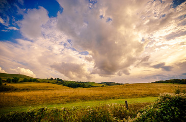 Meadow with beautiful sunset sky 