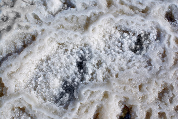 Crystals of salt on the Dead Sea